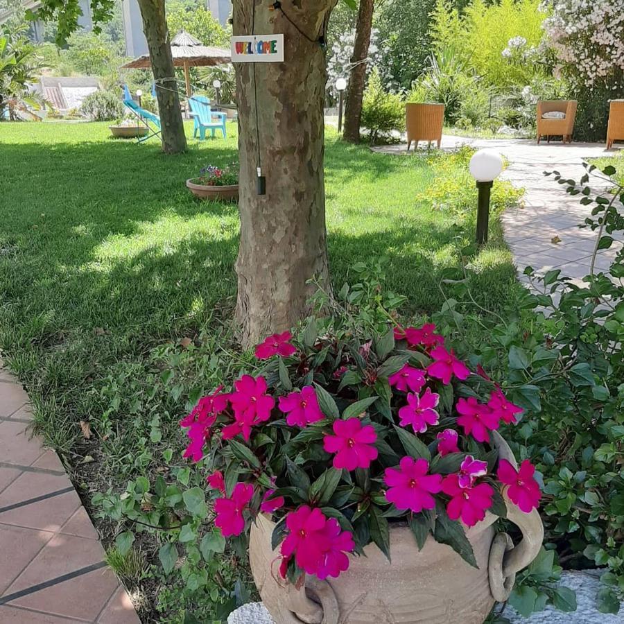 Hotel Parco Delle Rose Acquappesa Exterior foto
